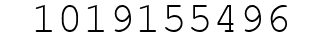 Number 1019155496.