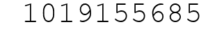 Number 1019155685.
