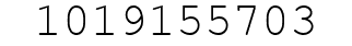 Number 1019155703.