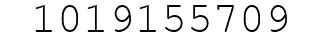 Number 1019155709.