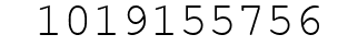 Number 1019155756.