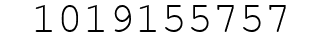 Number 1019155757.