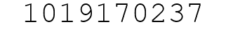 Number 1019170237.