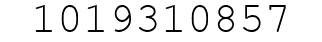 Number 1019310857.