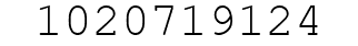 Number 1020719124.