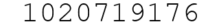 Number 1020719176.