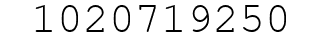 Number 1020719250.