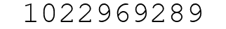 Number 1022969289.