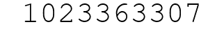 Number 1023363307.