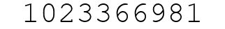Number 1023366981.