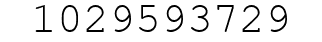 Number 1029593729.