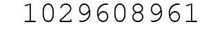 Number 1029608961.