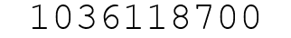 Number 1036118700.