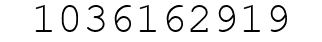 Number 1036162919.