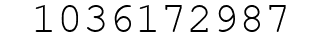Number 1036172987.