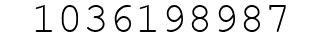 Number 1036198987.