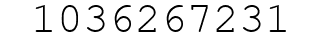 Number 1036267231.