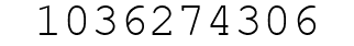 Number 1036274306.