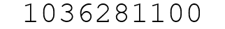 Number 1036281100.