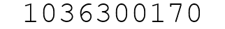 Number 1036300170.