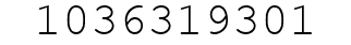 Number 1036319301.