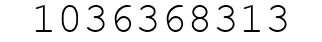 Number 1036368313.