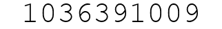 Number 1036391009.
