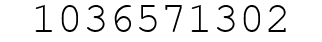 Number 1036571302.