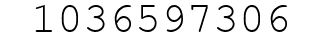 Number 1036597306.