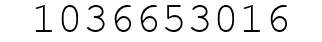 Number 1036653016.