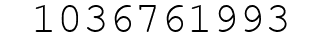 Number 1036761993.