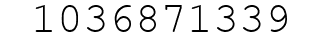 Number 1036871339.