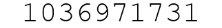 Number 1036971731.