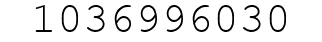 Number 1036996030.