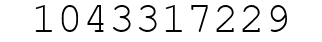 Number 1043317229.