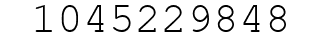 Number 1045229848.