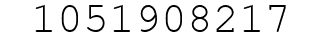 Number 1051908217.