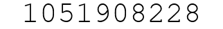 Number 1051908228.