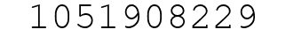 Number 1051908229.