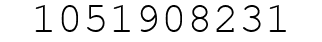 Number 1051908231.