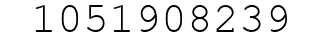 Number 1051908239.