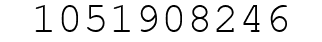 Number 1051908246.