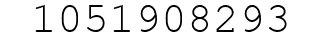 Number 1051908293.