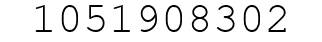 Number 1051908302.