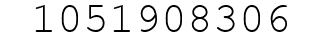Number 1051908306.