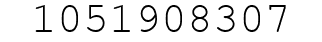 Number 1051908307.