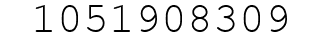Number 1051908309.