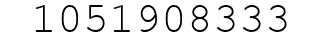 Number 1051908333.
