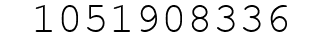 Number 1051908336.