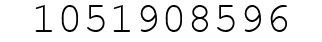Number 1051908596.